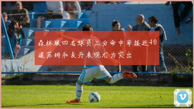 森林狼四名球员三分命中率接近40道苏姆和麦丹表现尤为突出